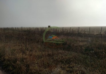 200 ha Mixtas - Gral Alvear