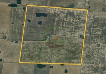 360 Ha Agricolas - Tostado - Santa Fe 