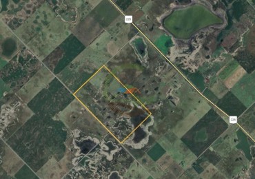 255 Ha Mixto - Inocencio Sosa - Pehuajo.