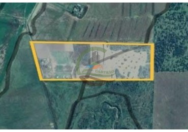 25 Ha Agricolas - Holmberg - Rio Cuarto