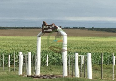 3330 ha Mixto - La Maruja - La Pampa