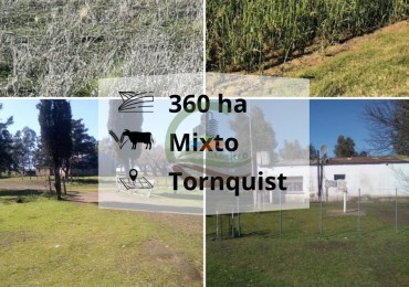 360 ha Mixtas - Tornquist