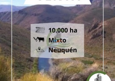 10000 ha mixto - Neuquen