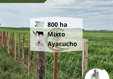 828 ha Mixto - Ayacucho