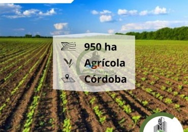 950 Ha Agricolas - Monte Cristo - Cordoba 