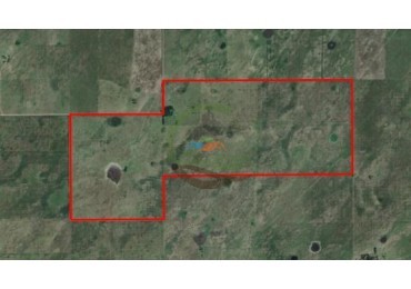 787 Ha Ganadero - Espigas - Olavarria