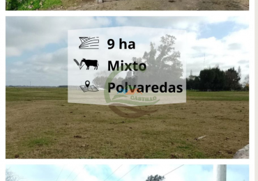9 ha mixtas - polvaredas