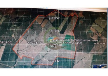 1300 Ha Agricolas - La Paz - Entre Rios