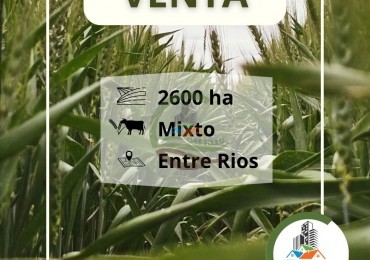 2658 ha Mixto - Entre Rios