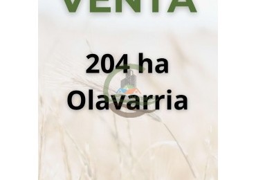 204 ha mixtas - olavarria