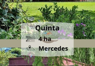 Quinta 4ha - Mercedes