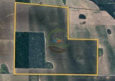 120 Ha Agricolas - Chajan - Rio Cuarto