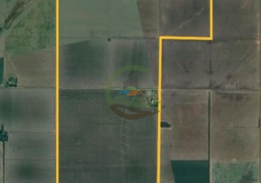 390 Ha Agricolas - Marcos Juarez - Cordoba 