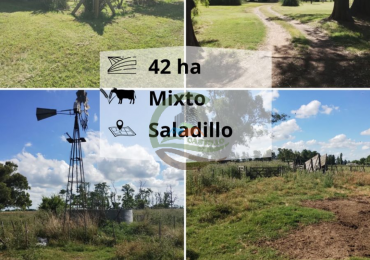 42 ha mixtas - saladillo