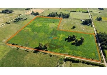 60 Ha Mixto - Las Flores