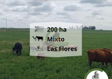 207 ha mixtas - las flores