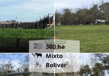 380 ha Mixtas - Bolivar