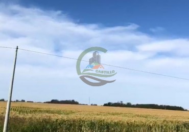 140 Ha Agricolas - Saladillo