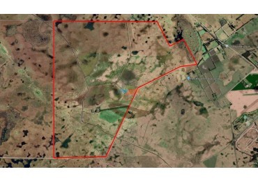 1320 Ha Ganadero - Dolores