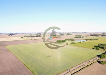 11 ha Agricolas - Saladillo
