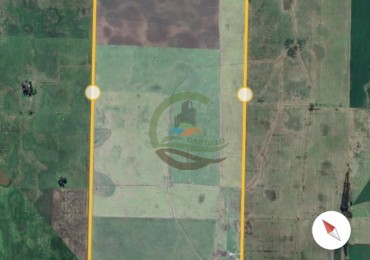 488 ha Mixto - Saladillo