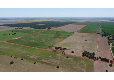 137 Ha Mixto - Santa Rosa - La Pampa