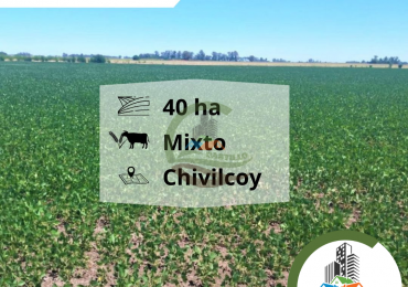 40 ha mixtas - chivilcoy 