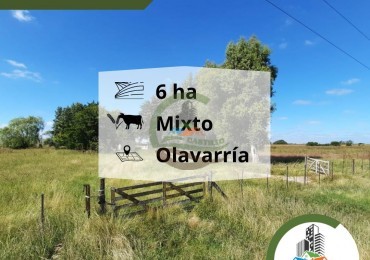 6 ha mixtas - olavarria