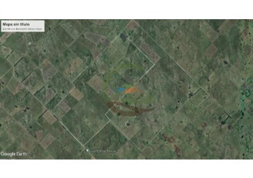 900 Ha Ganadero - Espigas - Olavarria