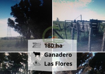 180 ha Ganadero - Las Flores
