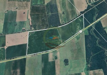 158 Ha Agricolas - Chajan - Rio Cuarto 