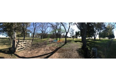 4800 ha MIxtas - Gral Belgrano