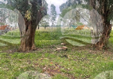 47 ha Ganadera - Olavarria