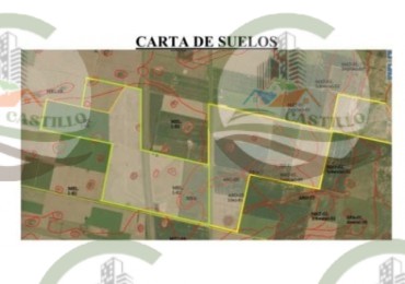 1517 Ha Mixto - Maciel - Santa Fe