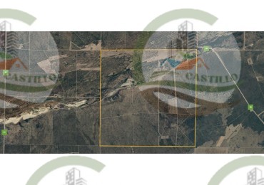 2500 Ha Ganadero - Coto de Caza - Colonia Devoto - La Pampa