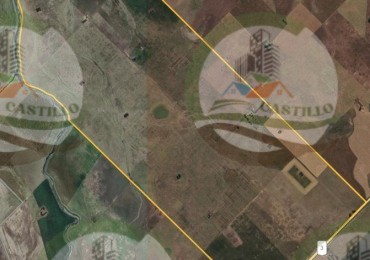 1003 Ha Mixtas - Tres Arroyos