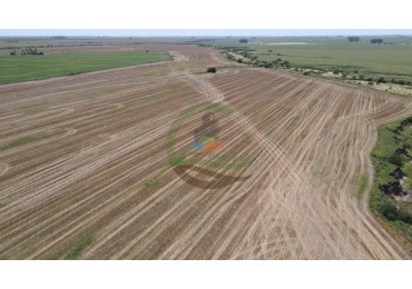 161 Ha Agricolas - Irazusta - Entre Rios