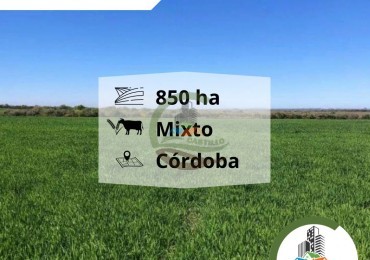 850 ha mixtas - cordoba