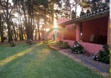 850 HA Agricolas - Tandil