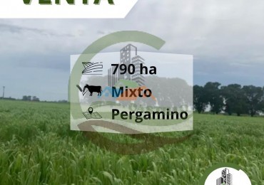 790 ha Mixto - Pergamino - Tranquera cerrada