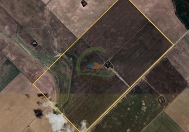 332 Ha Mixto - Coronel Dorrego