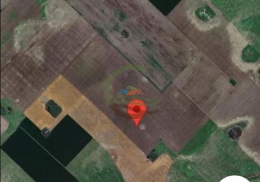 160 Ha Agricolas - San Sebastian - Chivilcoy 