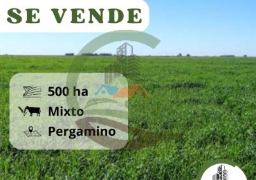 515 ha MIxtas - Pergamino