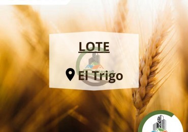 lote 40x40 - el trigo