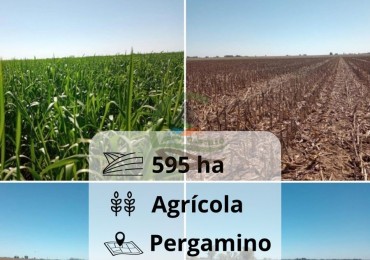595 ha Agricolas - Pergamino