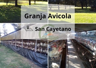 Granja Avicola San cayetano 