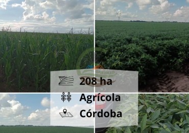 200 ha Agricolas - Cordoba 
