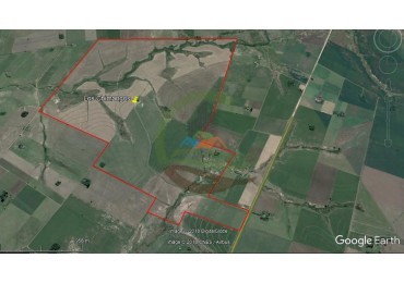 575 Ha Agricolas - Victoria - Entre Rios