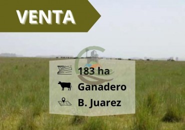 183 ha Ganadero - Benito Juarez