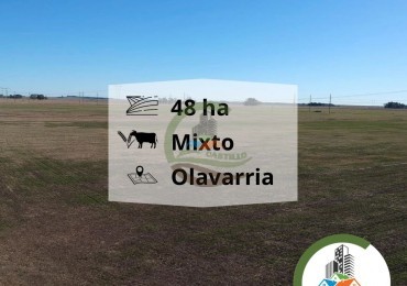 48 ha mixto - Olavarria